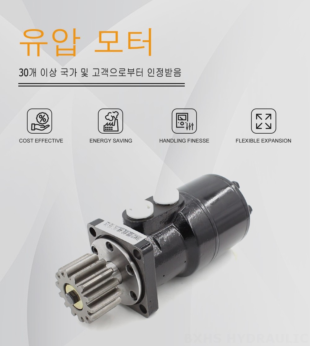 BMR 사이클로이드 유압 모터-2 63 cc/r 53 Lpm 유압 모터